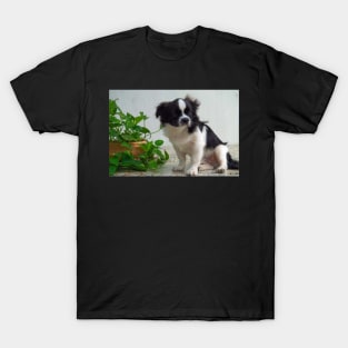 cute puppy T-Shirt